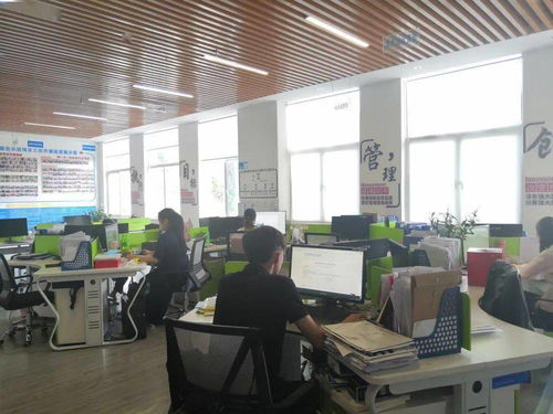 保亭縣電子商務公共服務中心誠邀英才，共促商務信息咨詢服務發展